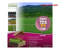 Jual Tanah Kavling Sawah Produktif View Pegunungan 250 m2 Hanya 99jt di Jonggol Bogor