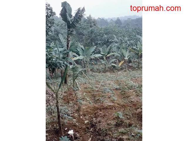Dijual Cepat Tanah Luas Harga Murah di Sukabumi P1097