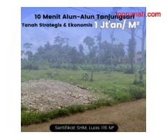 Dekat Alun2 Tanjungsari, Tanah Profit Sumedang, 1jtaan/M