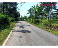 Jual Tanah 20 Hektar Jl Raya Kerjo Karanganyar